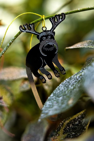 Überraschung Weihnachts plant buddy