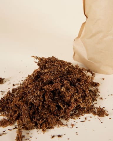 Sphagnum Moos 1 liter