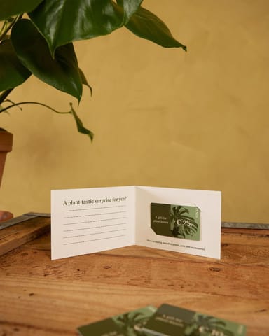 Geschenkkarte 25 euro