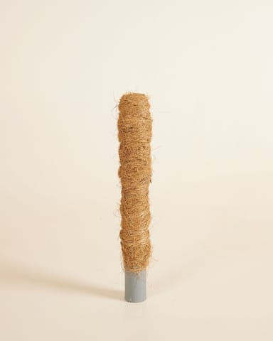 Peter Moosstock 30 cm
