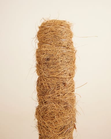 Peter Moosstock 30 cm