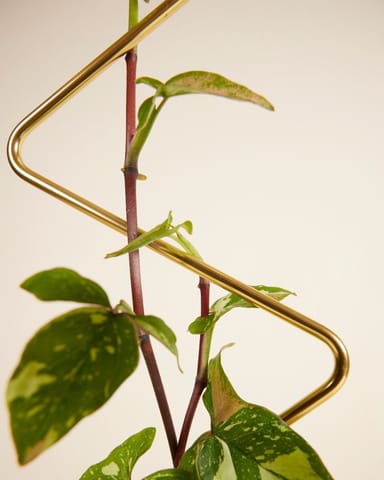 ZigZag Plantstake 70 cm