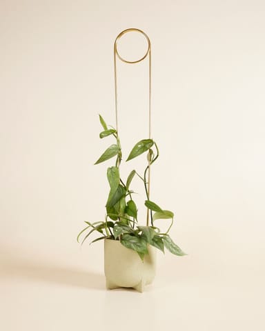 Pin Pflanzendrahtgestell 70 cm