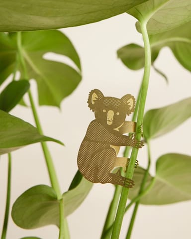 Kasper Koala Plant buddy
