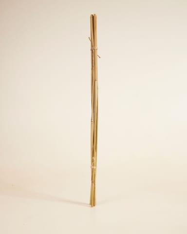 Bambusstab 70 cm 5 Stück