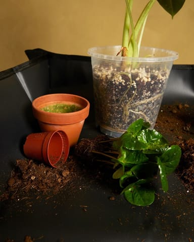 Potting Mat