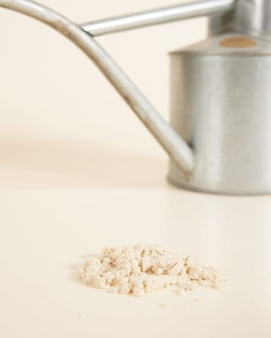Biologische Schädlingsbekämpfung: Trauermücke Felti