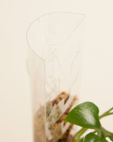 Casper Kletterstange 40 cm