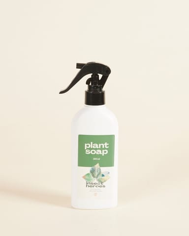 Plant soap Vorbereitung der biologischen Bekämpfung