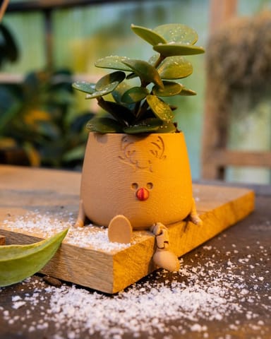 Baby Happy Rudolph Pot Ø 6 cm