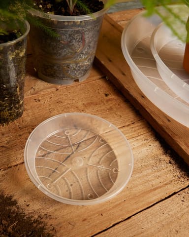 Pflanzschale Transparent Ø 12 cm