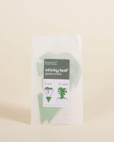 Sticky Leaf Trauermücken Klebefalle Grün 5 pieces