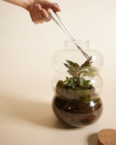 Toby Terrarienschere