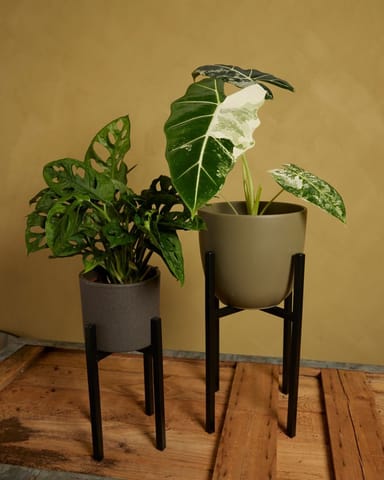 Paula Topfgestell  Schwarz 25 cm