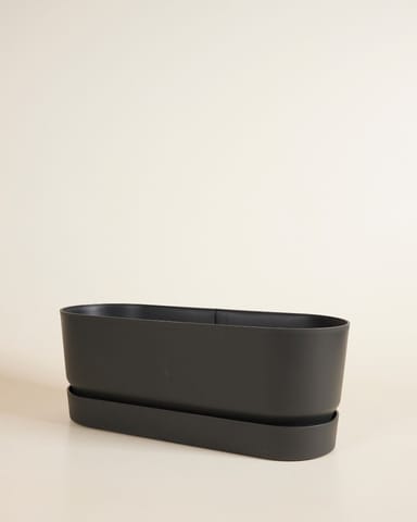 Elho Miles Ovaler Topf Schwarz 50 cm