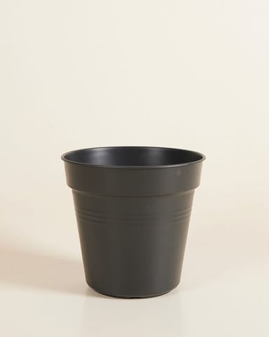 Elho Hagrid Anzuchttopf Schwarz Ø 17 cm