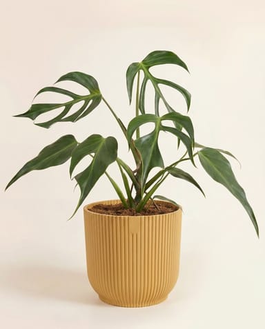 Elho Vibes Fold Ø 16 cm