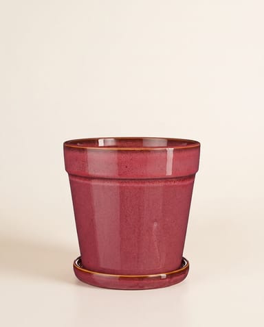 Clint Pot with Saucer Pink Ø 17 cm