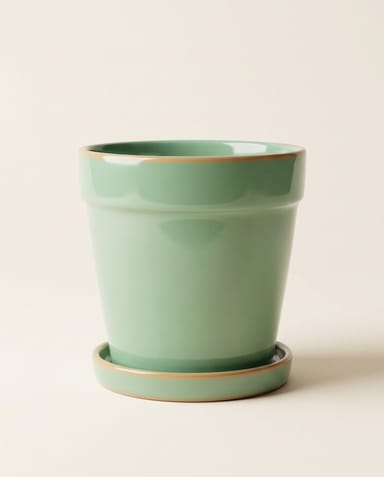 Clint Pot with Saucer Mint Green Ø 17 cm