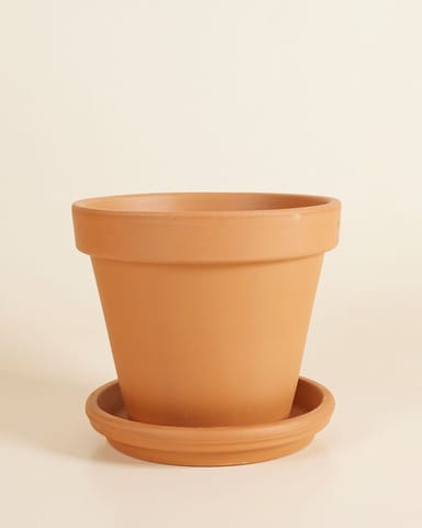 Orange Terrakotta Topf Ø 20 cm