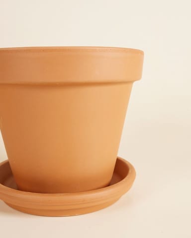 Orange Terrakotta Topf Ø 20 cm