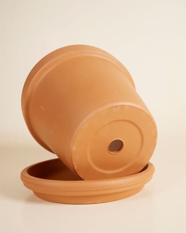 Orange Terrakotta Topf Ø 20 cm