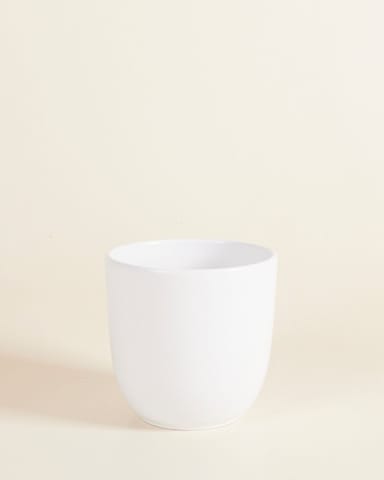 Lexi Topf Weiß Ø 12.5 cm