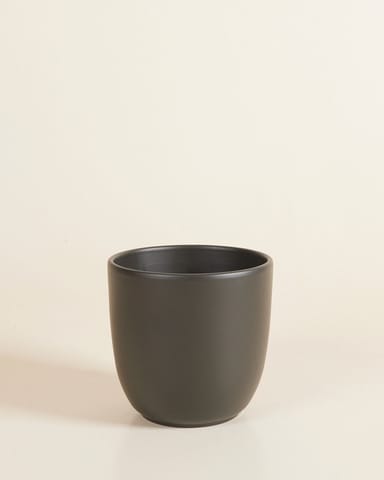 Lexi Topf Schwarz Ø 12.5 cm