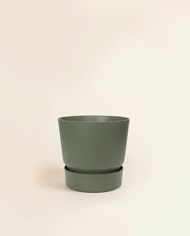 Elho Greenville Ø 14 cm