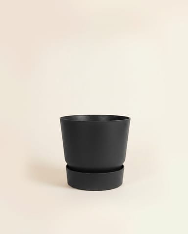 Elho Greenville Ø 14 cm