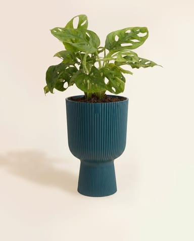 Elho Vibes Fold Ø 14 cm