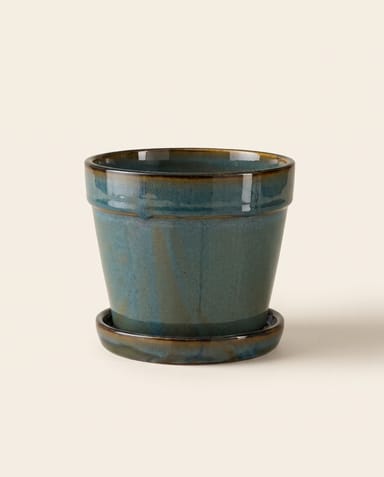 Clint Pot with Saucer Green Ø 15 cm