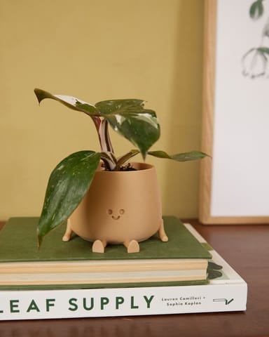 Baby Happy Harry Topf Beige Ø 8 cm