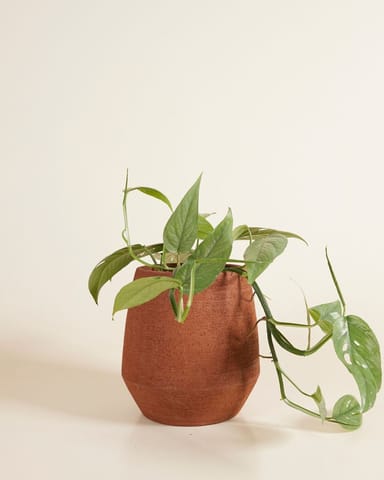 Hubert Topf Terra Ø 13.5 cm