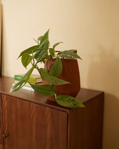 Hubert Topf Terra Ø 13.5 cm