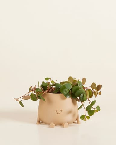 Baby Happy Harry Topf Beige Ø 6 cm