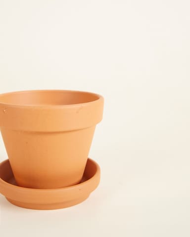 Baby Orange Terrakotta Topf Ø 8 cm