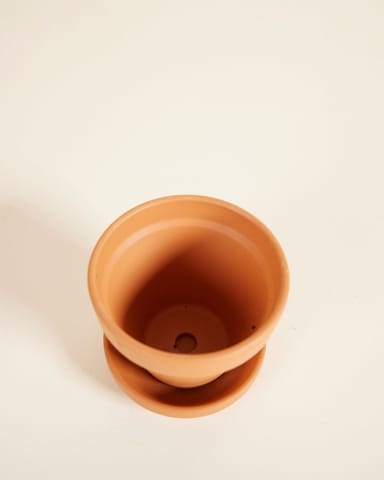 Baby Orange Terrakotta Topf Ø 8 cm