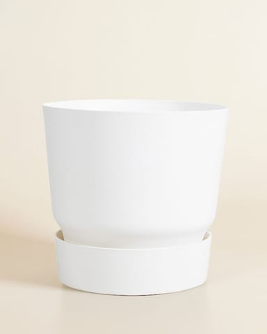 Elho Miles Runder Topf Weiß 24 cm
