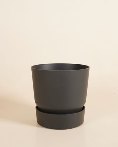 Elho Miles Runder Topf Schwarz Ø 18.5 cm