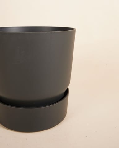 Elho Miles Runder Topf Schwarz Ø 18.5 cm