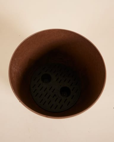 Bola Pot Braun Ø 23