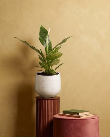 Matteo Pot White Ø 22 cm
