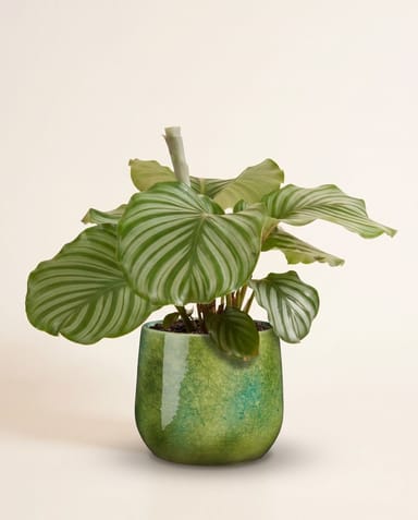 Hugo Pot Green Ø 22 cm