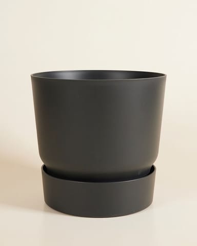 Elho Miles Runder Topf Schwarz 30 cm