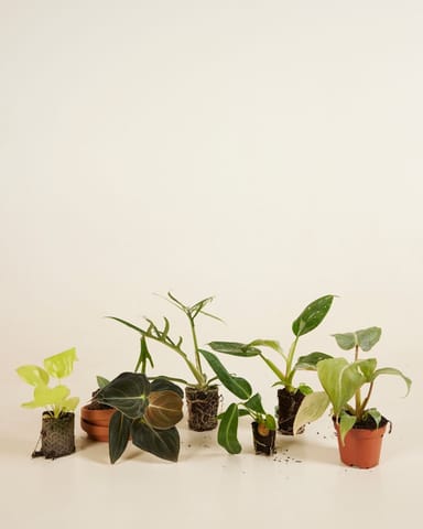 Sustainability box Baby Product set
