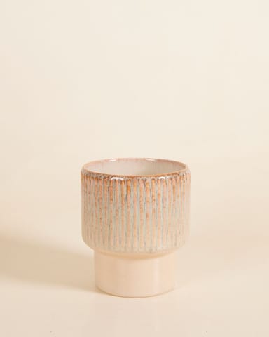 Jade Topf Grün Ø 12 cm