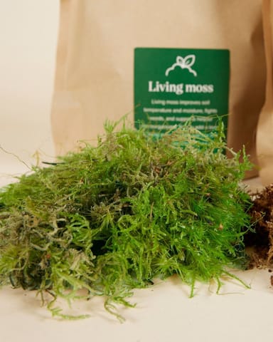 Kokedama-Kit Productset