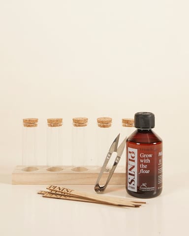Propagation Geschenkset Productset