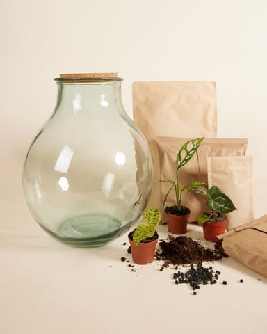 Olly Terrarium Großes Experten-Set productset